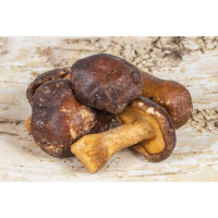 Houby Shiitake 100g Houby Shiitake 100g