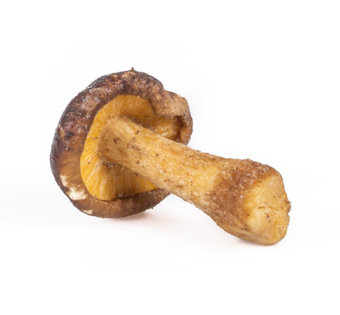 Houby Shiitake 100g
