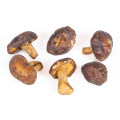 Houby Shiitake 100g