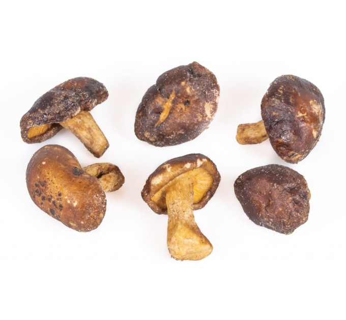 Houby Shiitake 100g