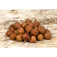 Lísková jádra vel. 15+ 250g Lísková jádra vel. 15+ 250g