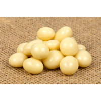 Meruňky v jogurtové polevě 350g