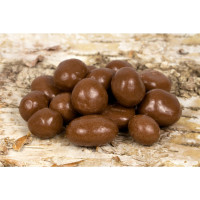 Meruňky v mléčné čokoládě 300g