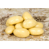 Para ořechy v jogurtové polevě 300g